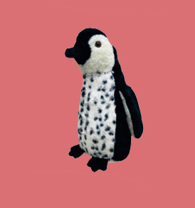 Royal Penguin